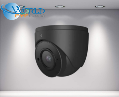 CLEAR-5MP HD Analog IR Eyeball Fixed Security Camera Gray 