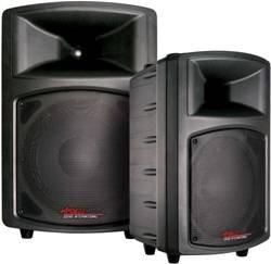 AMT-12 Speaker, 12" 2-way, 200W Continuous