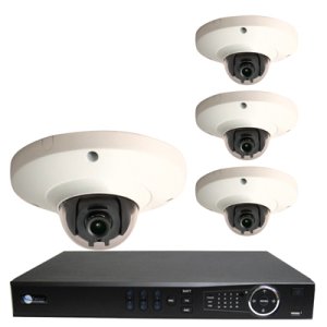 4 HD 2 Megapixel Dome NVR System for Business Commercial Grade