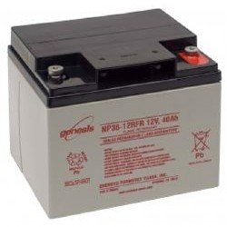 NP38-12RFR 12 Volt/38 Amp Hour Sealed Lead Acid Battery with 10/32 Receptacle Terminal, Flame Ret...