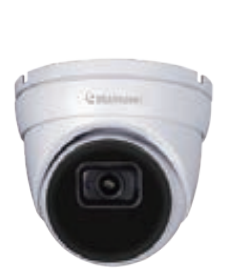 GV-2MP,2.8mm,Super Low Lux,WDR IR,Eyeball Dome,IP Camera, H.265