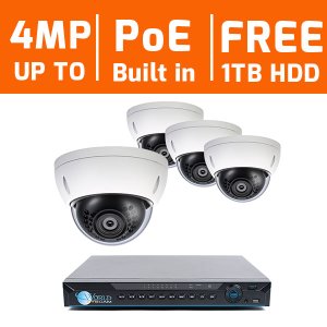 4 Ch NVR & 4 HD Megapixel IR Mini Dome (2MP, 3MP, 4MP Options) Kit for Business Professional Grade   