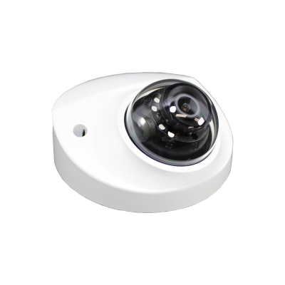 16CH NVR & 4 HD Megapixel Lite AI IR Fixed Focal Mini Dome Network Security Camera Kit