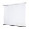 209004 Draper Star Manual Projection Screen 84" x 84", Matt White XT1000E